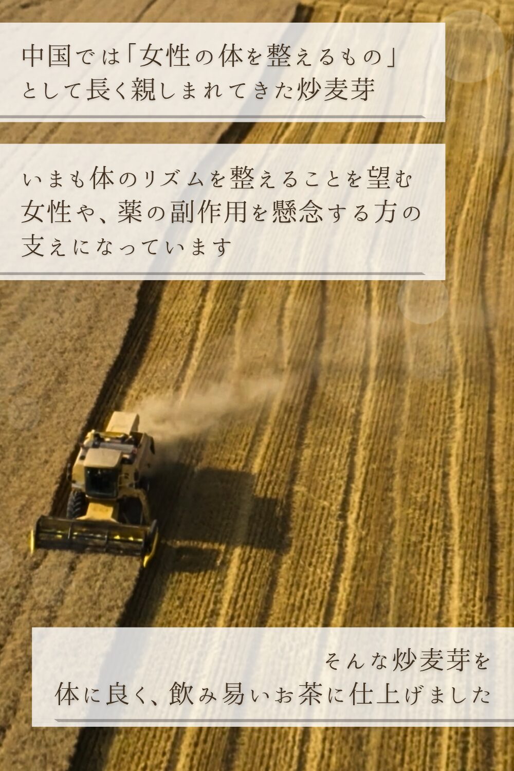 炒麦芽