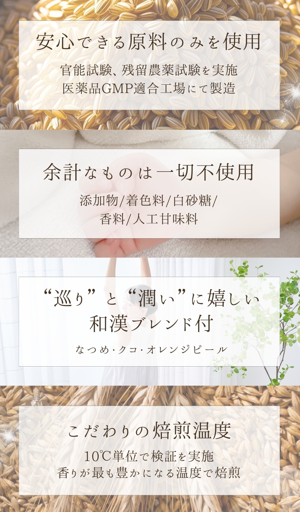 香ばし焙煎の炒麦芽茶　特徴